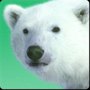 Meet your Posher, Eddie